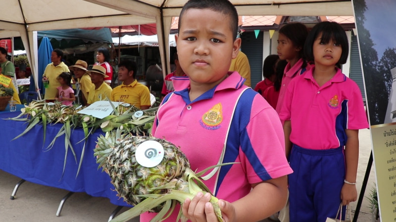 "งานสับปรดไร่ม่วง" เมืองเลย ท้าหวานไม่กัดลิ้น เพิ่มมูลค่าผลผลิตให้เกษตรกร