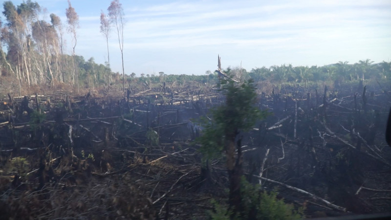 ไฟไหม้ป่าพรุ นาพญา-บางมะพร้าวนับพันไร่ 2 ตำบลวุ่น ชาวบ้านนับ 100 คน เดือดร้อนหนัก