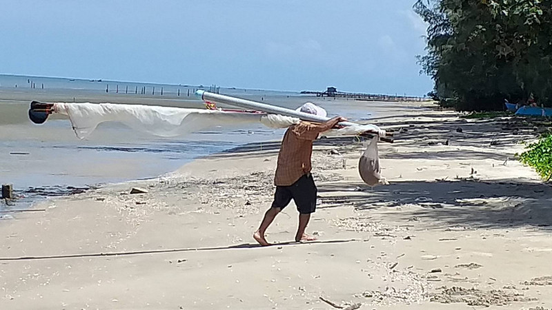 "ชาวตราด" แห่ไสเคยริมฝั่งชายหาดบ้านตาหนึก สร้างรายได้งาม