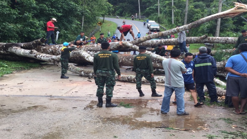 ฝนตกถล่มสังขละบุรี "ต้นไม้ยักษ์ 8 คนโอบ" ล้มปิดถนน ตัดขาด คน 6 หมู่บ้าน ไฟฟ้าระบบสื่อสารดับสนิท