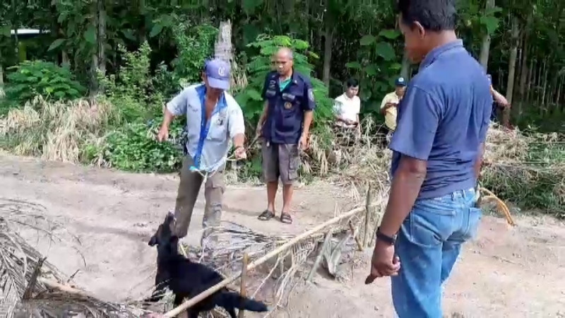 "ชายโหด" ฉุนสุนัข ทำลายพืชผลการเกษตร ใช้บ่วงลวดดักดิ้นทุรนทุราย พลเมืองดี สุดทน!! แจ้ง ตร.- กู้ภัย ช่วยเหลือ