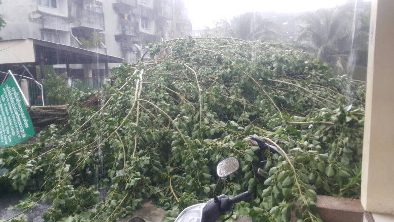 ชาวหาดใหญ่ฮือฮา!! เกิดปรากฏการณ์ลูกเห็บตก พายุฝนถล่ม พัดต้นไม้-เสาไฟฟ้าล้มทับ จยย.- รถยนต์ เสียหาย