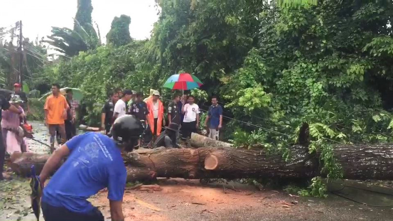 ฝนตกลมแรง!! พัดต้นไม้ล้มพาดสายไฟฟ้า ถนนด้านหลังศาลากลางจังหวัดจันทบุรี