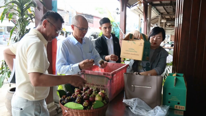 "บริษัทดอยคำ" รับซื้อมังคุดชุมพร กว่า 160 ตัน ช่วยบรรเทาความเดือดร้อนเกษตรกร