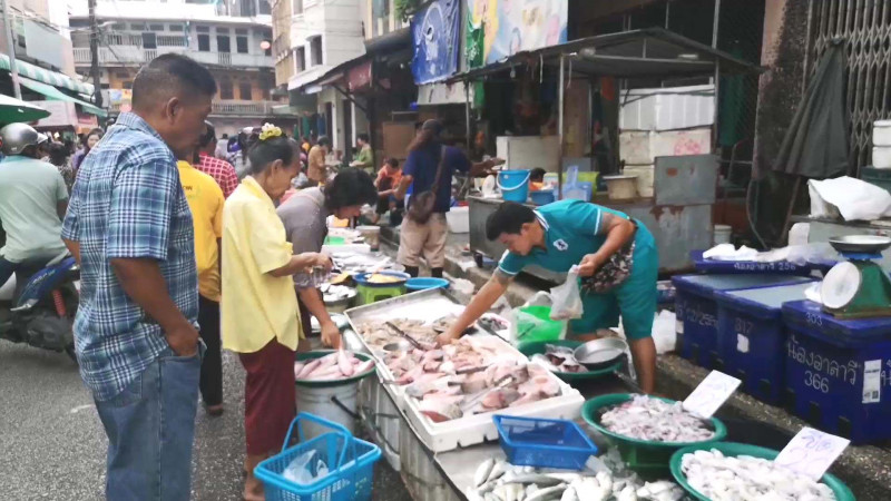 ยังคงคึกคัก ! บรรยากาศขาย "ปลาทู" หลังพบข่าวไมโครพลาสติกอยู่ในกระเพาะ