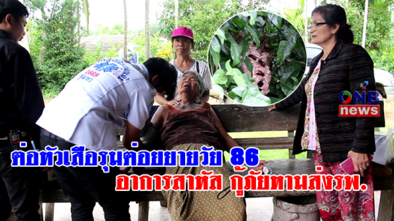 "ต่อหัวเสือ" รุมต่อยยายวัย 86 อาการสาหัส กู้ภัยหามส่งรพ.