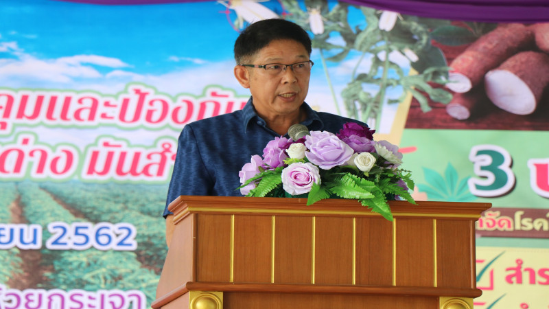 "เกษตรจังหวัดกาญจนบุรี" จัดโครงการรณรงค์เพื่อควบคุมและป้องกันการแพร่ระบาดของโรคใบด่างมันสำปะหลัง ให้กับเกษตรกร