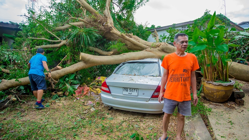 พายุฝนลมแรงกระหน่ำ อ.บางละมุง กลางดึก!! พัดต้นไม้ใหญ่ล้มทับรถ-บ้านเรือน พังเสียหาย บาดเจ็บ 2 ราย