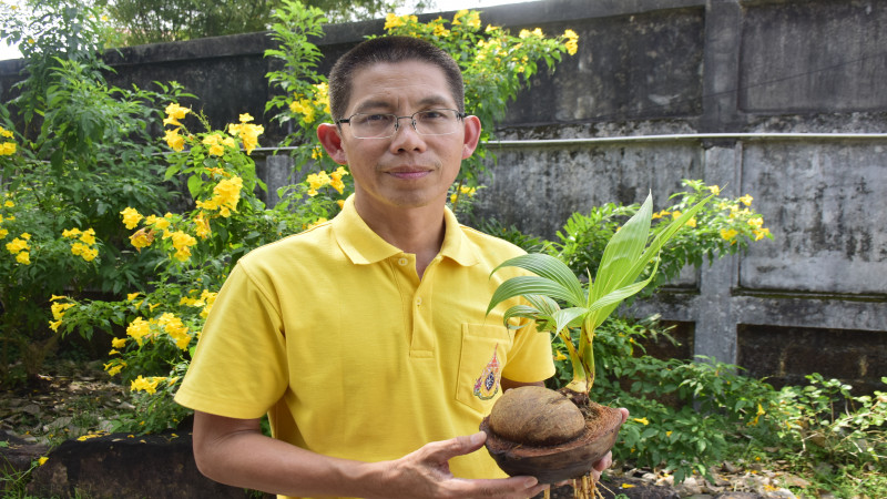 ไอเดียเจ๋ง ! "นายอำเภอเเมืองตราด" ใช้เวลาว่างทำบอนไซมะพร้าว อย่างสุดสวย