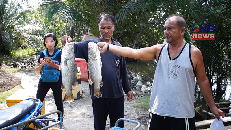 เกษตรกรเข่าทรุด ! "ปลากะพง" น๊อคน้ำดับคากระชัง ไม่ทันจับขายตรุษจีน เสียหายกว่าครึ่งล้านบาท