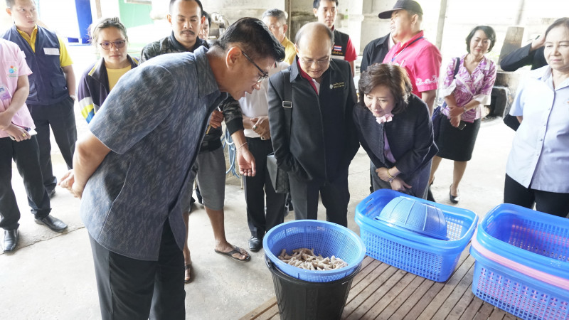 "ผู้ว่าฯหนองคาย" ลุยตรวจโรงงานผลิตเล็บมือนาง หลังพบคนงานใช้ปากแทะกระดูกออก สั่งห้ามทำอีก หวั่นกระทบสุขภาพผู้บริโภค