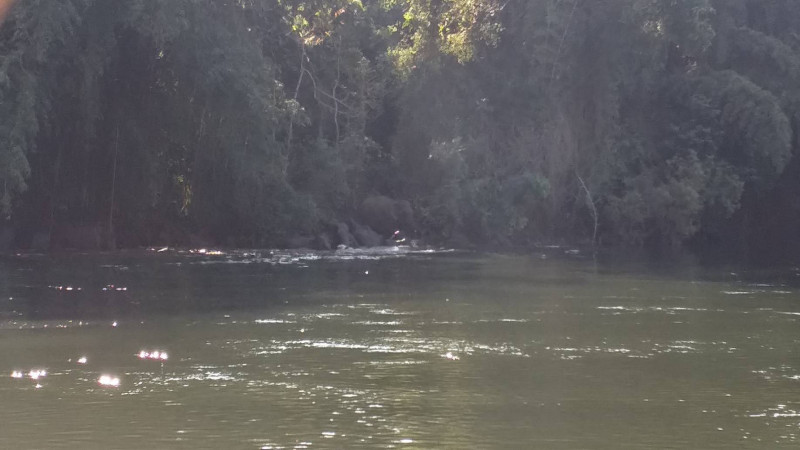 ภาพหาดูยาก!! โขลงช้างป่าทองผาภูมิ กว่า 30 ตัว ลงเล่นน้ำในแม่น้ำแควน้อย (มีคลิป)