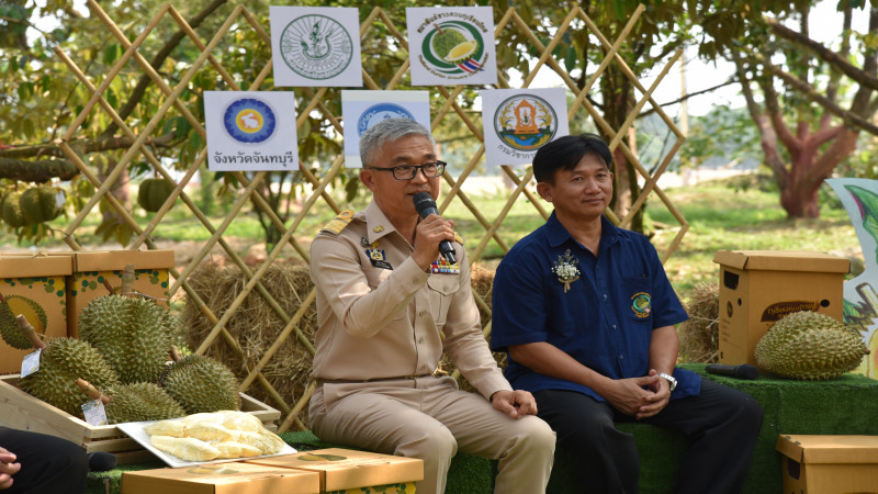 จันทบุรีแถลงข่าวเตรียมจัดงาน Durian To Go by ประชาสัมพันธ์ผลผลิตทุเรียนคุณภาพ