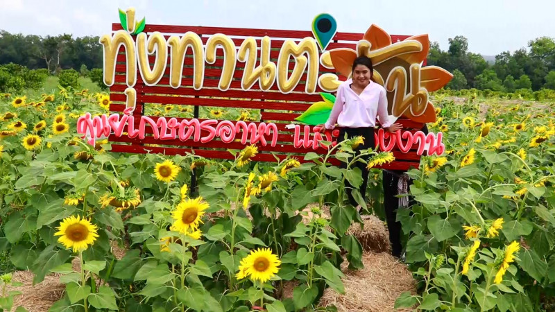 "สจล.ชุมพร" สร้างจุดแลนด์มาร์คใหม่เป็นสถานที่ท่องเที่ยวและแหล่งเรียนรู้ให้กับชุมชน