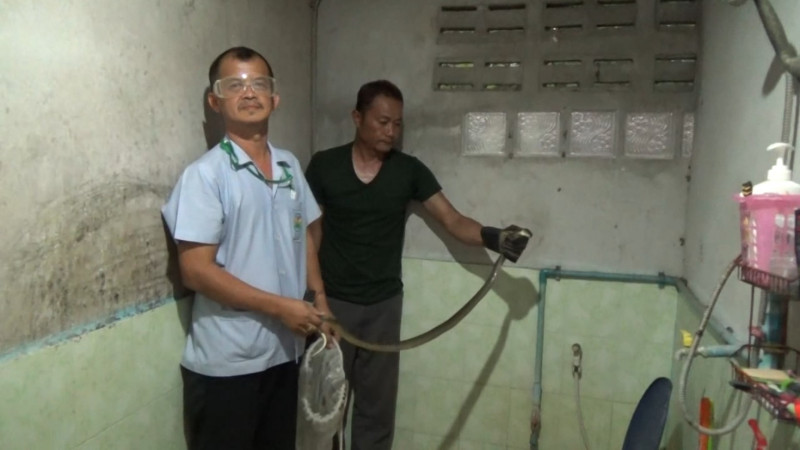 "หญิงวัย 58 ปี" เดินเข้ามาเข้าห้องน้ำ เหลือบเห็นงูเห่านอนขดตัวอยู่ใต้โถส้วม ตกใจสุดขีด! รีบแจ้งกู้ภัยช่วยเหลือ