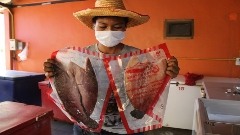 ร้านแม่ลาปลาเผาสิงห์บุรี ทำปลาช่อนแดดเดียวขายออนไลน์ สู้วิกฤตโควิด-19