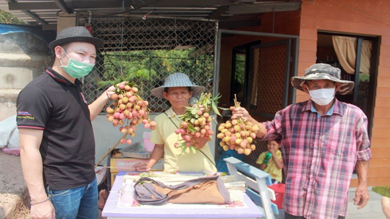 โควิดพ่นพิษ ! "ชาวสวน" ขายลิ้นจี่ไม่ออก วอนรัฐบาลช่วยเหลือ