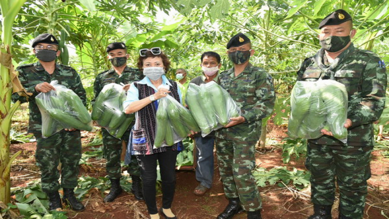 "ทหาร ฉก.1" ร่วมกับ ดร.กัลยาณี ซื้อมะละกอจากเกษตรกร ไปมอบให้กำลังพลตามแนวชายแดนเขาพระวิหาร
