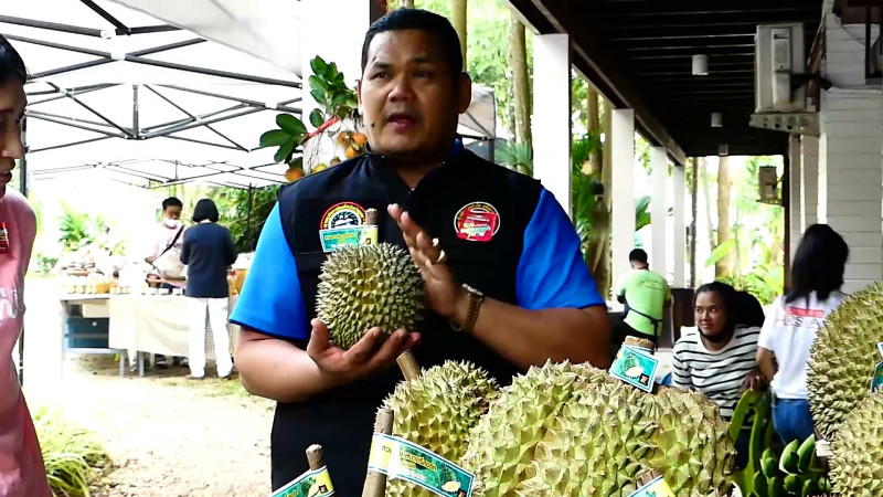 ททท. ชุมพร จัดอิ่มไม่อั้น "บุฟเฟ่ต์ทุเรียน"ของดีเมืองชุมพร