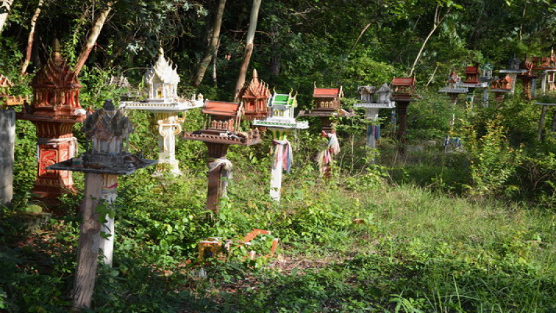 "วัดป่าดงมี่" มีศาลพระภูมิมากที่สุดในโลก เรียงเป็นรั้วรอบพื้นที่ 350 ไร่