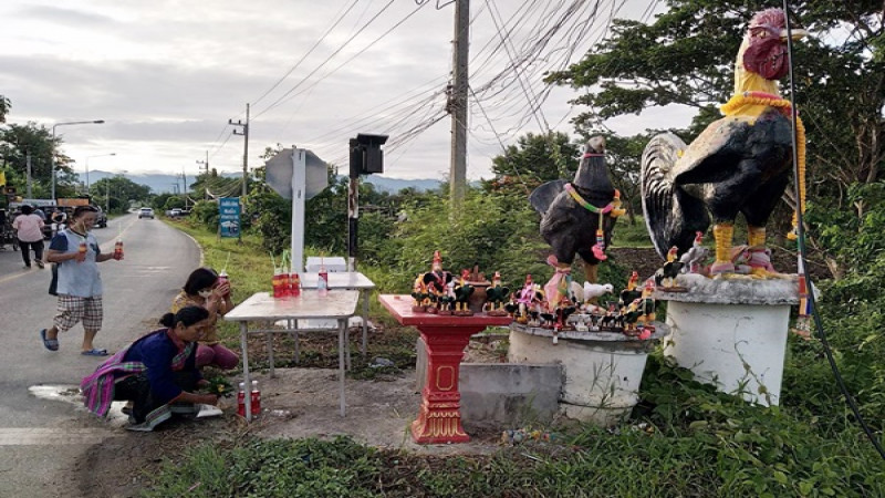 สุดแปลก ! ชาวบ้านเซ่นไหว้ "รูปปั้นไก่ชน" ศาลเจ้าพ่อคำใส แม่ศรีไพร เพื่อขอฝน ตามประเพณีโบราณ