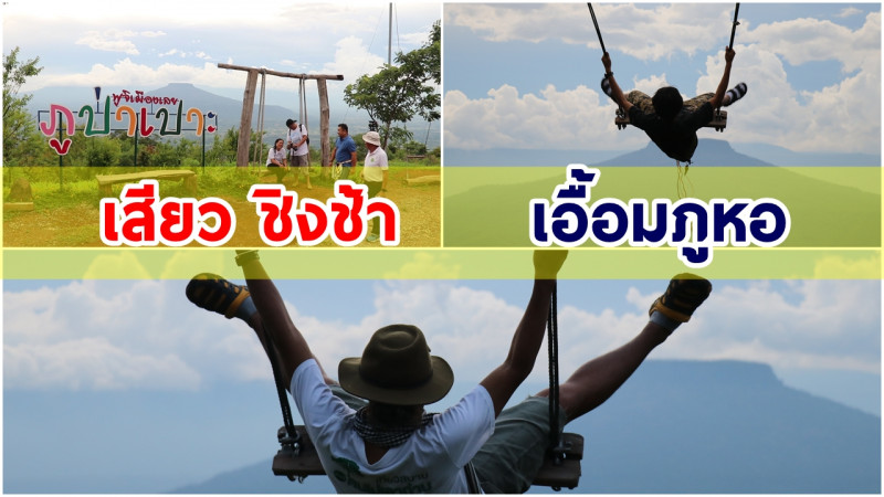 ท้าความเสียว ! "โล้ชิงช้า" เอื้อมภูหอ ที่ภูป่าเปราะเมืองเลย