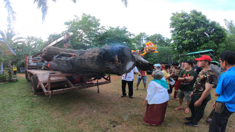 ฮือฮา ! พบ "ไม้ตะเคียนคู่" อายุนับพันปีจมใต้น้ำ คอหวยแห่ส่องเลขเด็ดโค้งสุดท้าย (มีคลิป)