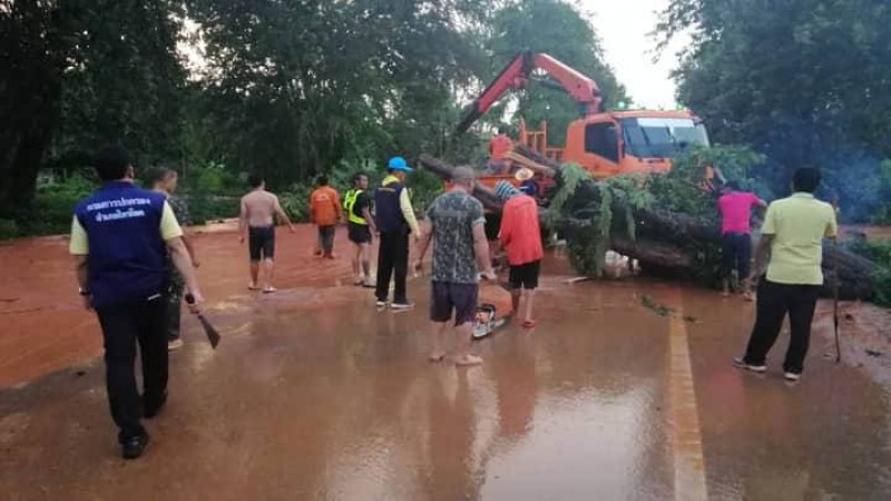 ฝนถล่ม ! เกิดน้ำป่าไหลหลาก ต้นไม้ใหญ่หักโค่นขวางถนนสาย 323 รถติดหนักหลายชั่วโมง