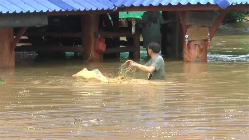 "น้ำป่า" ลำน้ำแม่ลาวไหลทะลัก เข้าท่วมอำเภอเชียงคำ พัดสะพานเสียหาย