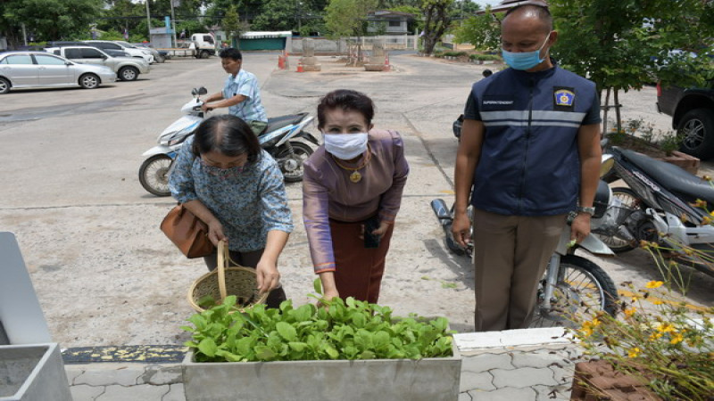 ผกก.สภ.เมืองศรีสะเกษ เยี่ยมชมพืชผักสวนครัว รอบบริเวณอาคารสำนักงาน