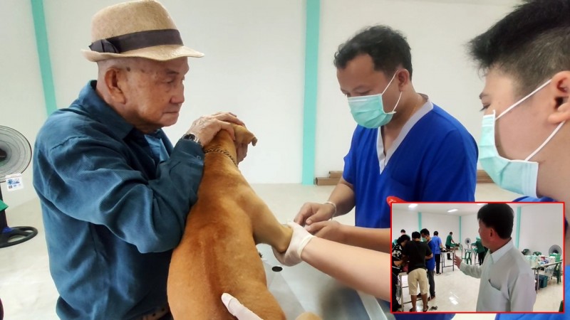 "ปศุสัตว์นครพนม" รณรงค์และให้บริการทำหมันสุนัข-แมวฟรี เนื่องในวันป้องกันโรคพิษสุนัขบ้าโลก