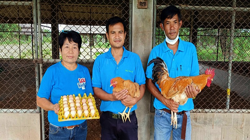 "ไก่เหลืองดงยอ" สัตว์เศรษฐกิจใหม่ สร้างรายได้ให้ชุมชน