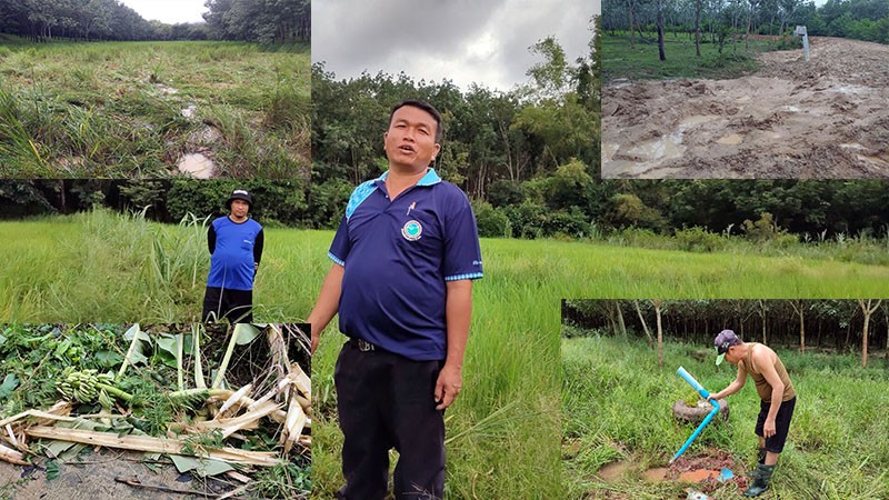 "ช้างป่าภูวัว" หนีข้ามคลองกั้นเข้ามาหากินข้าวนาปีที่ตั้งท้องเสียหาย