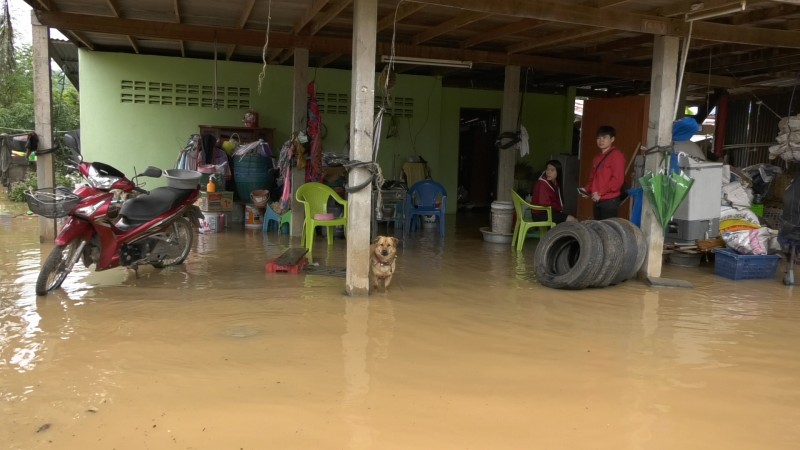 ฝนกระหน่ำโคราช!! น้ำทะลักท่วมหลายพื้นที่ อำเภอปักธงชัย หนักสุดรอบ 10 ปี เร่งอพยพชาวบ้านอยู่บนที่สูง