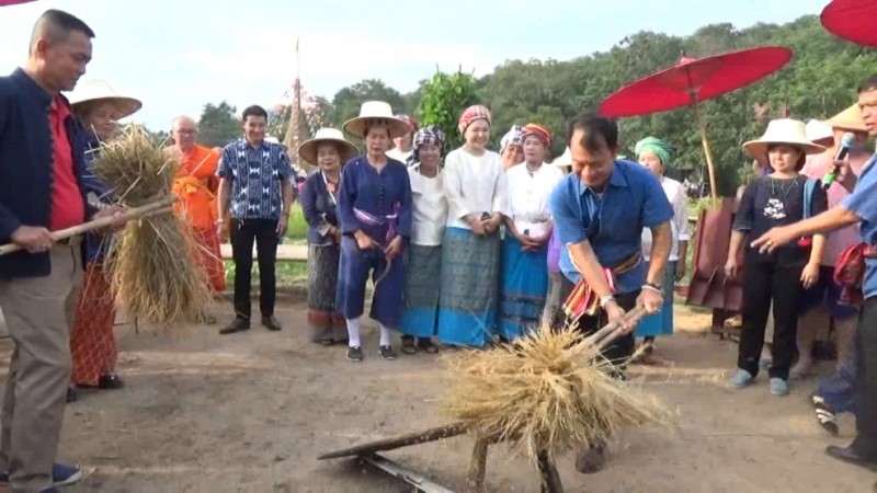 สระบุรี-วัดพระพุทธฉาย จัดงานรำลึก ร.9 มหกรรมเกี่ยวข้าวในนาพ่อสานต่อภูมิปัญญาชาวนาไทย