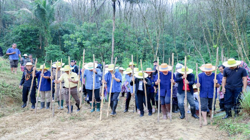 รองผู้ว่าฯ ร่วมกิจกรรม “ปลูกข้าวไร่ ทางเลือกใหม่ สืบสาน โครงการนาข้าวขั้นบันไดตามพระราชดำริ” บ้านยาเด๊ะ