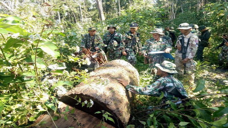 เปิดขุมทรัพย์ ! ไม้ตะเคียนทองไม้กระบาก ถูกลักลอบตัดโค่น 34 ท่อน ห่างชายแดนเพียง 600 เมตร