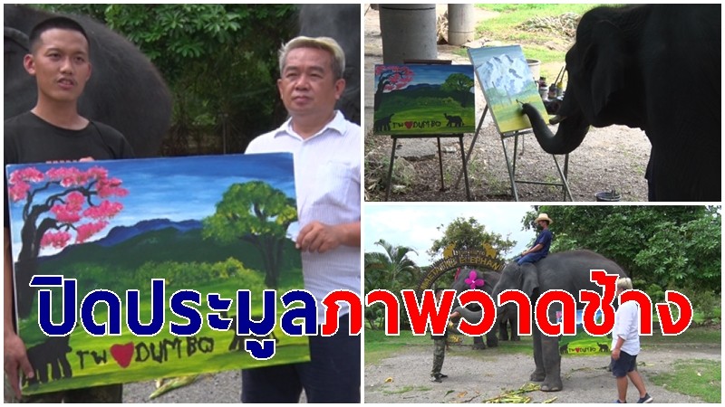 ปิดประมูลภาพวาด "ช้างน้อยธันวา" ได้เงินประมูล-บริจาคกว่า 3 แสน 