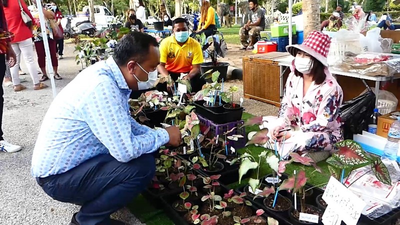 "อดีตส.ส.ชุมพร" จัดกิจกรรมส่งเสริมท่องเที่ยว สร้างงาน สร้างอาชีพ ให้ชาวบ้านค้าขายมีรายได้เลี้ยงครอบครัว