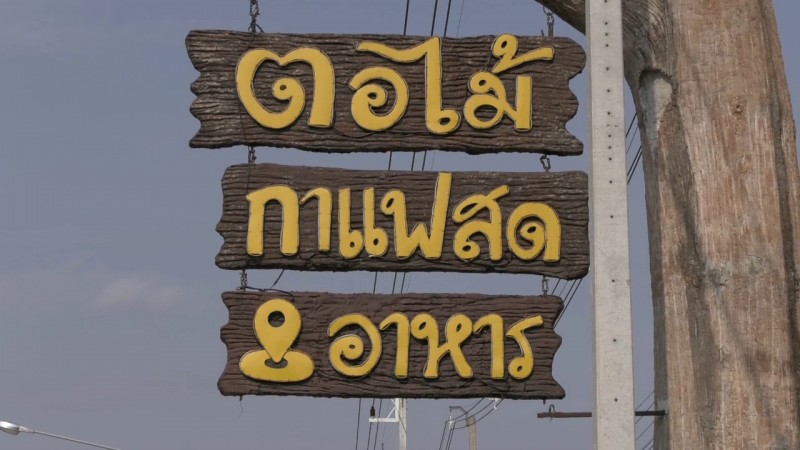 ร้านอาหารตอไม้โคราช ชูเมนูคู่รัก ท่ามกลางบรรยากาศธรรมชาติ ผสมผสาน country อย่างลงตัว