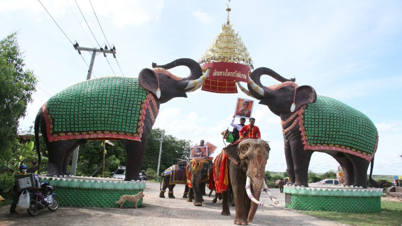 สุดยิ่งใหญ่ ! "ลูกหลาน" นำช้าง 12 เชือก เดินนำหน้าเคลื่อนศพปู่ทวด อายุ 100 ปี เจ้าของช้าง 19 เชือกประกอบพิธีทางศาสนา ที่วัดป่าอาเจียง