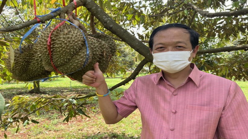 รองผู้ว่าฯศรีสะเกษ เผย ! "งานเทศกาลทุเรียนภูเขาไฟ" สร้างรายได้ให้เกษตรกรแล้วกว่า 30 ล้านบาท