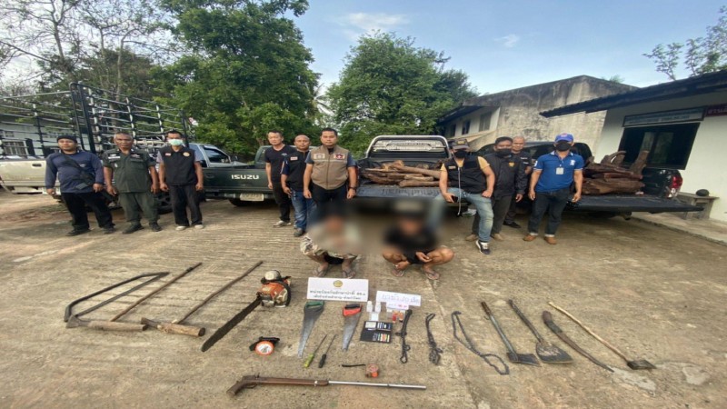 ตำรวจสนธิกำลังชาวบ้านตามแนวขายแดนไทย-กัมพูชา ลักลอบตัดไม้พะยูง