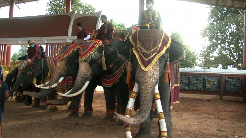 เมืองช้างเตรียมจัดแสดงแสงสีเสียง วิถีชีวิตวัฒนธรรม สืบสานตำนานช้างไทย กระตุ้นการท่องเที่ยว 13-14 ส.ค.นี้