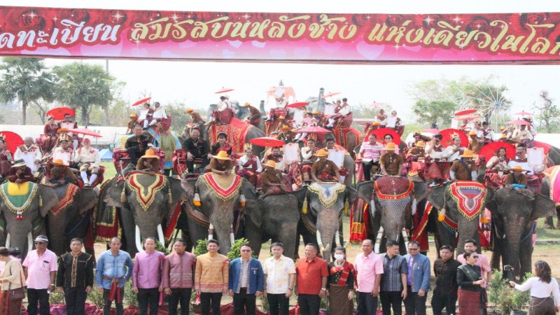 วันแห่งความรัก จดทะเบียนบนหลังช้างยิ่งใหญ่ที่สุดในโลก ชาวไทย-ต่างชาติร่วมงานกว่า 30 คู่