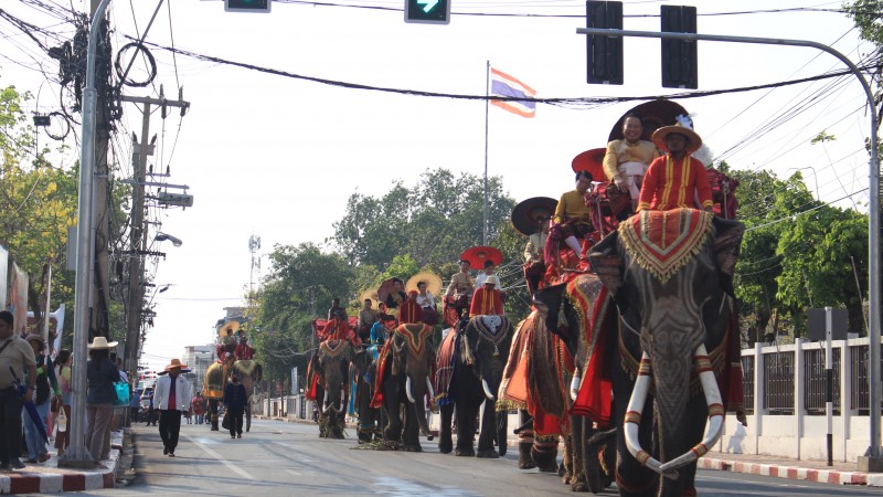 สุรินทร์ จัดใหญ่เทศกาลงานวันช้างไทย ครั้งที่ 2 ช้างนำขบวนแห่และนางรำกว่านับพันชีวิต