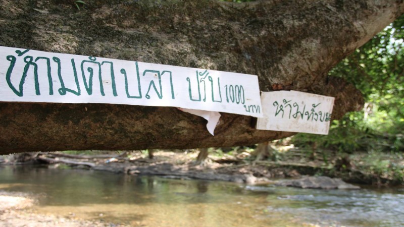 แปลกแต่จริง! ฝูงปลานับล้านย้ายถิ่นที่อยู่ใหม่ หาดูยาก