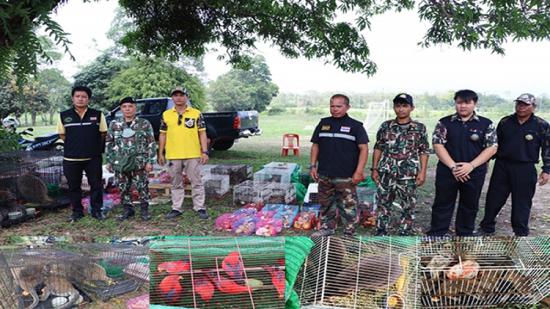 ตำรวจร่วมกันตรวจยึดสัตว์ป่าสงวนและคุ้มครองหลายชนิดจำนวนมาก