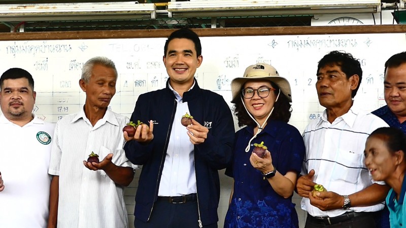 รองอธิบดีกรมการค้าภายในยัน “มังคุดชุมพรเน้นคุณภาพ” มีราคาดี