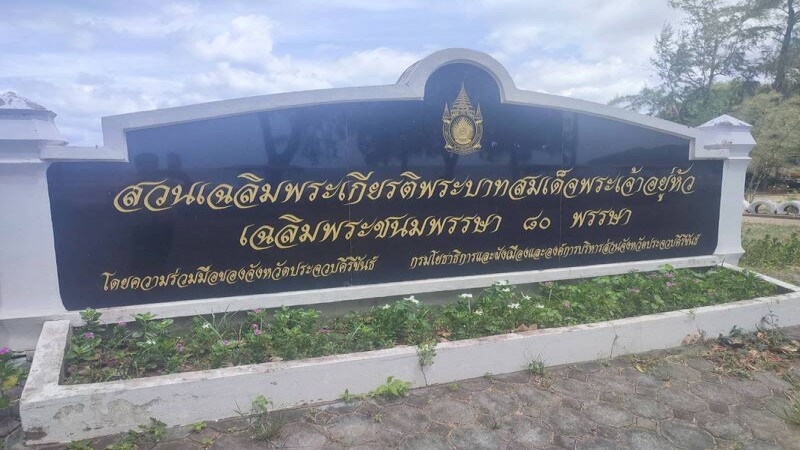 "ชาวบ้าน" โวยตัดเหี้ยนต้นสนเก่าแก่ ในสวนเฉลิมพระเกียรติ ร.9